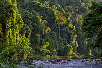 Rainforest and river outside the Batak village of Sitio Manggapin in Cleopatra&#39;s Needle Critical Habitat, Palawan, Philippines.