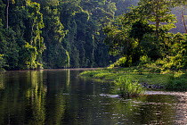 Rainforest and river outside the Batak village of Sitio Manggapin in Cleopatra&#39;s Needle Critical Habitat, Palawan, Philippines.