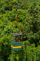 Scientist Dr Raymond Dempsey researching rainforest treess response to wet-dry seasonal transition from special research crane. Daintree Rainforest Observatory, Queensland, Australia. February 2015
