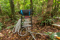 Scientific instruments attached to trees to measure many different elements: carbon dioxide exhaled; tree&#39;s water intake and flow; growth rate. Daintree Rainforest Observatory, Queensland, Austral...