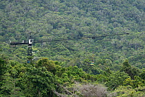 Daintree Rainforest Observatory Canopy Crane, used to carry personnel into the trees. Daintree Rainforest Observatory, Queensland, Australia February 2015