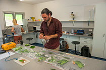 Scientists with leaf samples from Daintree Rainforest Observatory, Queensland, Australia February 2015