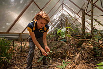 James Cook University&#39;s Susan Laurance - Tropical Leader at the Centre for Tropical Environmental and Sustainability Studies and College of Marine and Environmental Sciences leads the Daintree Dro...