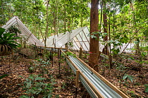 Guttering to redirect water at the Daintree Drought Experiment, where rainforest plants grown under cover to see how they respond to drought. Daintree Rainforest Observatory, northern Queensland, Aust...