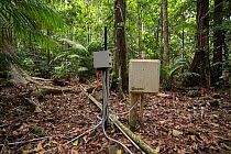 Scientific instruments to measure many elements related to rainforest treess including carbon dioxide exhaled, tree&#39;s water intake and flow and growth rate. Daintree rainforest observatory, Queens...