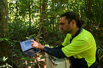 Dr. Alex Cheesman showing data from his research, Daintree rainforest observatory, Queensland, Australia. February 2015