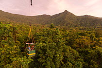 Scientists studying response to wet-dry seasonal transition in rainforest trees, in basket lifted by crane. Daintree rainforest observatory, Queensland, Australia. February 2015