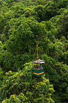 Scientists studying response to wet-dry seasonal transition in rainforest trees, in basket lifted by crane. Daintree rainforest observatory, Queensland, Australia. February 2015