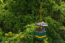 Dr. Raymond Dempsey studying response to wet-dry seasonal transition in rainforest trees, in basket lifted by crane. Daintree rainforest observatory, Queensland, Australia. February 2015