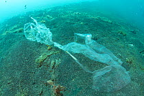 Plastic bag breaking down into smaller pieces on the seabed, Sulawesi, Indonesia. November.