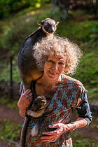 Margit Cianelli wildlife carer with young Lumholtz kangaroos (Dendrolagus lumholtzi), one with a radio collar. The tree kangaroo has a radio collar to allow her to explore her forest surroundings read...