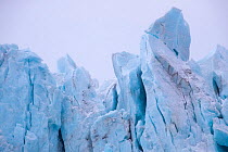 Glacier at Drygalski Fjord, South Georgia. November.