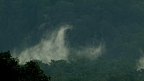 Timelapse of cloud rolling over rainforest, Gunung Tritit, foothills of the Gunung Rajawali Mountains, northern Sumatra, Indonesia, 2015.