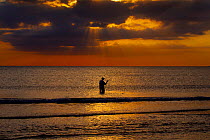 Fishing from Fort Myers beach at sunset Gulf Coast Florida, USA, March 2015.