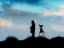 Silhouette of bird watcher watching sea birds from sand dunes, Titchwell, Norfolk, England, UK, January.