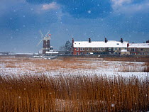 Cley Mill and Reedbed in winter snow storm, Norfolk, UK, February.