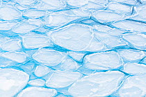 Pancake ice on Southern Ocean as sea ice forms. Atka Bay, Antarctica. April.