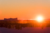 Emperor penguin (Aptenodytes forsteri) breeding colony at sunrise. Atka Bay, Antarctica. May 2017.