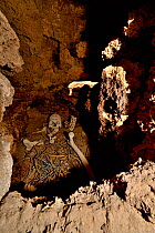 Human remains inside a Chullpa / funeray tower. Ceremonial tomb from between 1200-1450 AD, San Juan del Rosario, Bolivia.