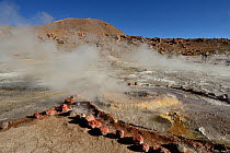 Landscape with geysers and fumaroles, El Tatio geyser field, 4320m above sea level, Andes Mountains, northern Chile.