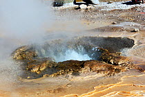 Cloe up of active geyser. El Tatio geyser field, 4320m above sea level, Andes Mountains, northern Chile.