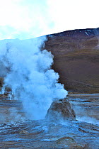 Geysers and fumaroles, El Tatio geyser field, 4320m above sea level, Andes Mountains, northern Chile.