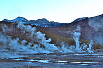 Landscape with active geysers and fumaroles. El Tatio geyser field, 4320m above sea level, Andes Mountains, northern Chile.