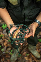 Snare held in human hands - rangers collect data and destroy snares in primary rainforest, in order to protect native wildlife such as elephants, rhinos, tigers and orangutans. September 2018.