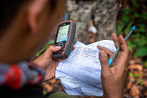 Rangers collecting data in primary rainforest, protecting the native wildlife such as elephants, rhinos, tigers and orangutans. September 2018.