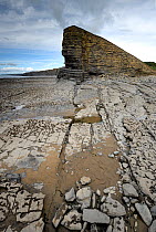 Minor normal or extensional faults exposed in the cliffs and also on the shore wave-cut platform. Nash Point, South Glamorgan Heritage Coast, Llantwit Major, Wales, UK. September 2017. The cliffs com...