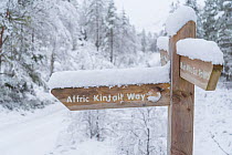 Affrci Kintail Way long distance footapth sign post in winter, Glen Affric, Scotland, UK, December 2017.