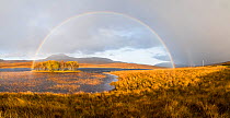 Double rainbow emmerging from rain shower over Loch Awe, Assynt, Scotland, UK, November 2016.