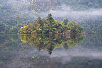 Forested island on Loch Lomond, Loch Lomond and the Trossachs National Park, Scotland, UK