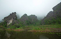 Van Long Nature Reserve, home of the critcally endangered Delacour's langurs (Trachypithecus delacouri) Ninh Binh, Vietnam.