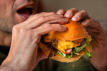 Man about to eat a beef burger with bacon, cheese and lettuce, London, UK.
