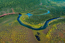 Aerial view of headwaters of the Lena River, Siberia, Russia. August 2018.
