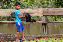 Monk Saki (Pithecia monachus) captive with its owner, a boy from the Siona tribe, Cuyabeno wildlife reserve, Sucumbios, Amazon rainforest, Ecuador, July