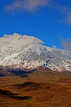 Antisana volcano surrounded by typical paramo habitat, Antisana Ecological reserve, Napo and Pichincha, Ecuador, July