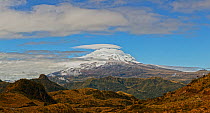 Antisana volcano surrounded by typical paramo habitat, Antisana Ecological reserve, Napo and Pichincha, Ecuador, July