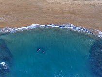 Orca (Orcinus orca) female and calf in coastal waters. Punta Norte, Valdez Peninsula, Argentina. May.