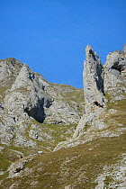 Pica de Balbin and Pena Fresnidiello limestone peaks above the Vega Fresnidiello, near Sotres, Picos de Europa, Asturias, Spain, August 2016.