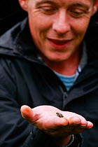 Man with a tiny frog in his hand, from the Phoenix Project, a Glasgow-based rewilding project which helps young alcoholic and drug addicts at Glenlude Farm, managed by the John Muir Trust, Scotland. A...