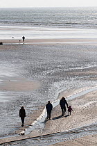 People and dogs walking on Amroth Beach, Pembrokeshire, UK, March 2017.