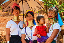 Kayan Lahwi women at the Kay Htein Bo village celebration. The Long Neck Kayan (also called Padaung in Burmese) are a sub-group of the Karen ethnic people from Burma. They wear spiral coils around the...