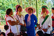 Kayan Lahwi women at the Kay Htein Bo village celebration. The Long Neck Kayan (also called Padaung in Burmese) are a sub-group of the Karen ethnic people from Burma. They wear spiral coils around the...