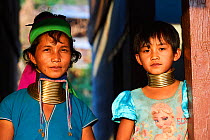Portrait of a Kayan Lahwi woman with brass neck coil and traditional clothing. The young girl, her daughter, wears also the traditionnal neck coils but smaller and adapted to her age (8 years old). Sh...