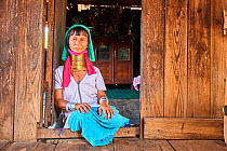 Kayan Lahwi woman with brass neck coils and traditional clothing sitting next to the front door of her home. In the background stands a buddhist altar. The Long Neck Kayan (also called Padaung in Burm...