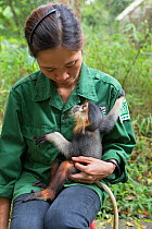 Bui Thi Hanh, Animal Caretaker, holding infant Red-shanked douc langur (Pygathrix nemaeus) that was rescued from illegal wildlife trade, Endangered Primate Rescue Center, Cuc Phuong National Park, Vie...