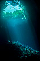 Underwater view of a blue hole on Eleuthera Island, Bahamas.
