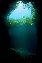 Underwater view of a blue hole in The Bahamas known locally as the Sapphire blue hole. Eleuthera, Bahamas.